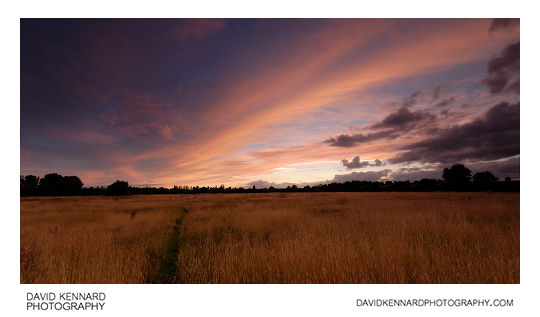 Harborough Hay field at twilight