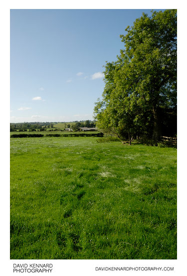 Grassy field, Withcote