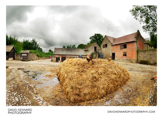 Pile of Straw Manure in the farmyard at Acton Scott Historic Working Farm