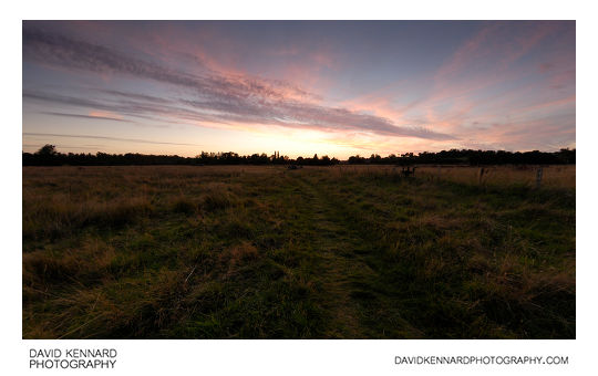 Field between Lubenham and Harborough at twilight