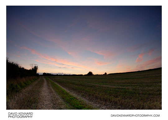Harvested field at twilight
