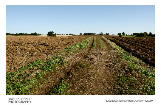 Track through ploughed field, Scalford