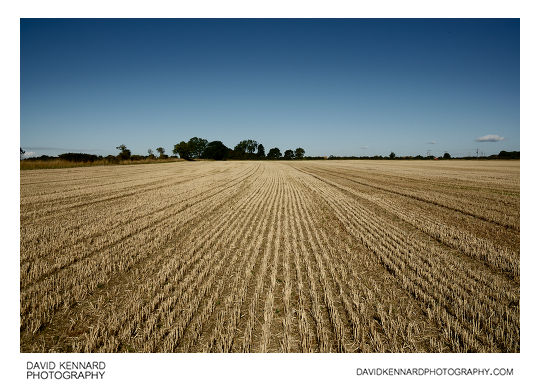 Harvested field, Scalford