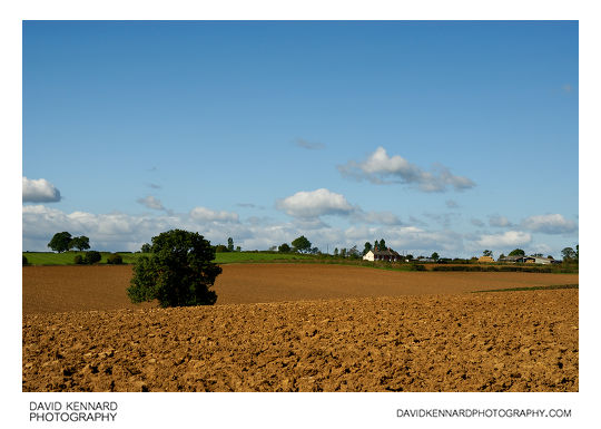Ploughed fields, Scalford