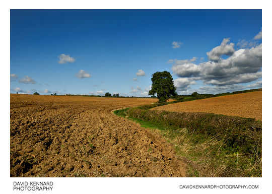 Ploughed fields near Scalford