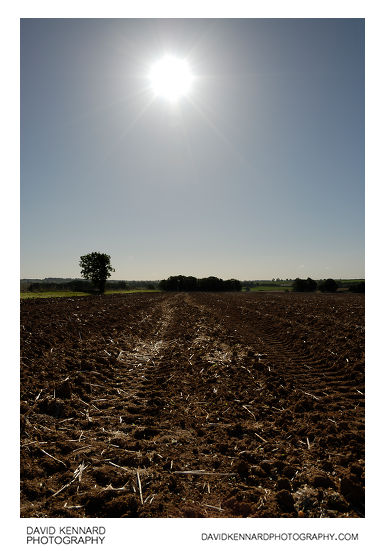 Sun over ploughed field near Scalford