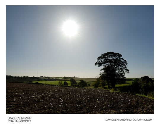 Sun and ploughed field, Scalford