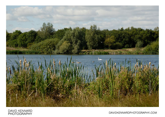 Central Lake, Melton Country Park