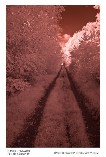 The old railway line in Infrared