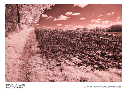 Path by ploughed field in Infrared