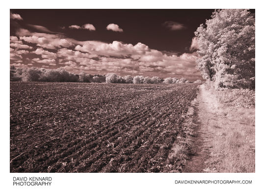 Infrared photo of a ploughed field near Market Harborough