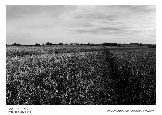 Path through harvested field, Lubenham
