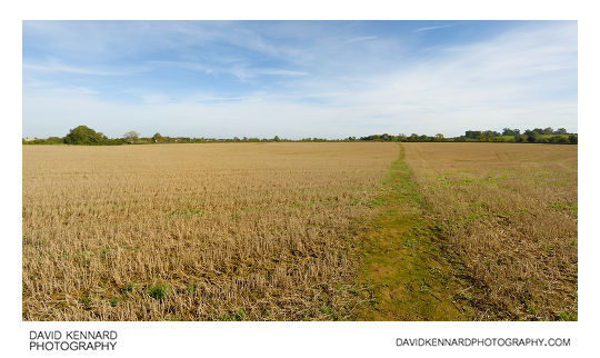 Path across harvested field, Harborough