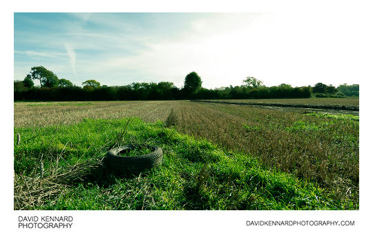Old tyre in field