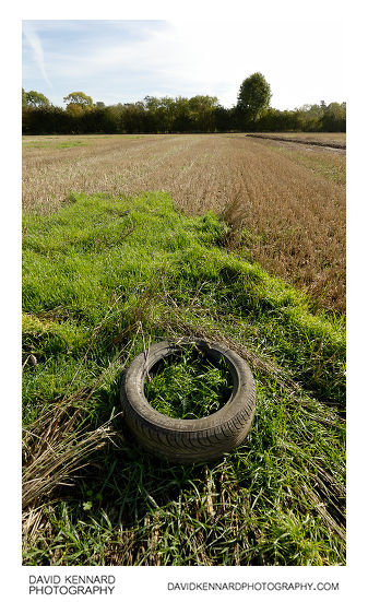 Old tyre in field