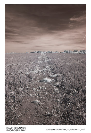 Infrared photo of the path across a field near Market Harborough