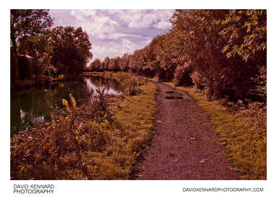 Grand Union Canal, Market Harborough (IR + visible)