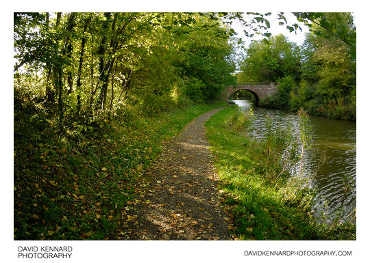 Grand Union Canal Harborough arm in autumn, near Market Harborough in Leicestershire, England.