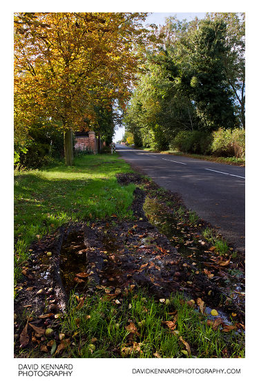 Leicester Lane, Great Bowden in autumn