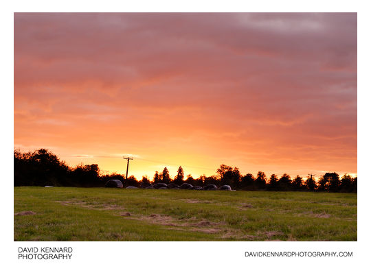 Sunset over ridge and furrow field