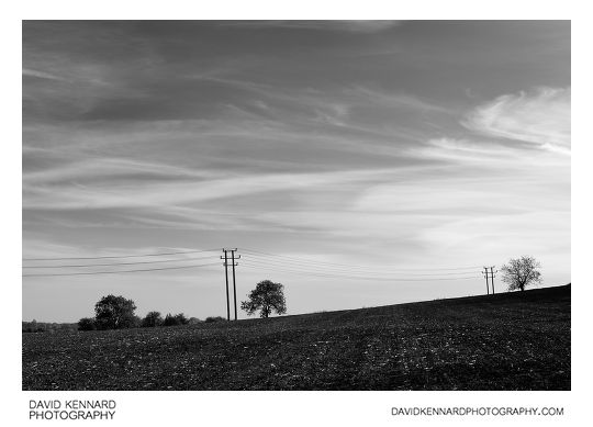 Ploughed field and telegraph poles