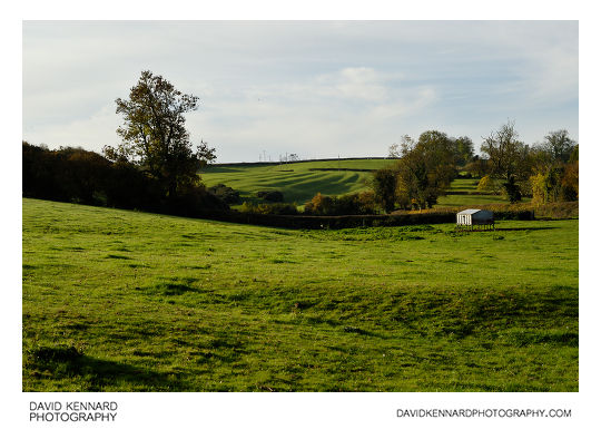 Green pasture, East Farndon