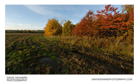 Farndon Fields in Autumn