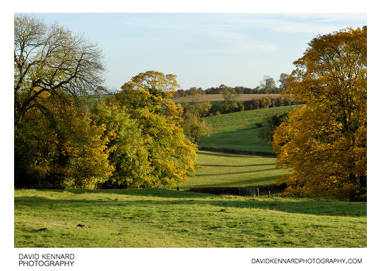 Fields near East Farndon in Autumn