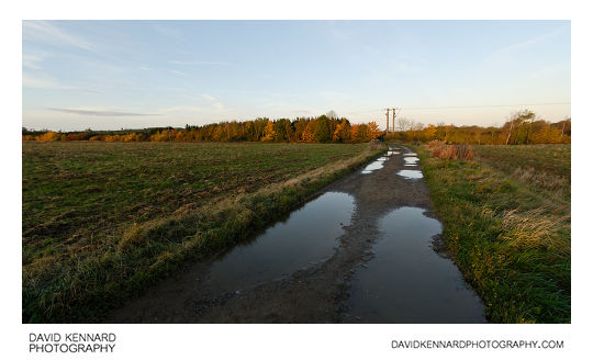 Puddle filled track across Farndon Fields