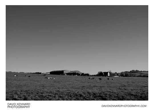Field and farm near Medbourne