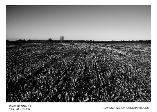 Stubble field between Medbourne and Slawston