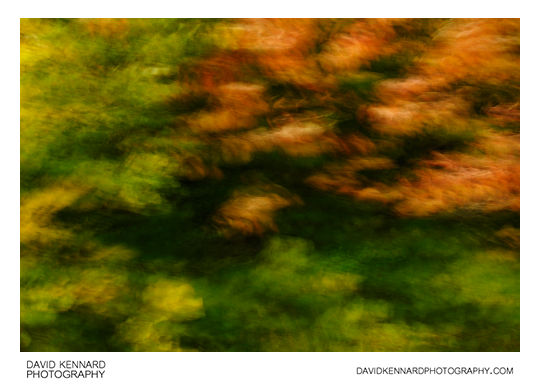 Blurred leaves abstract