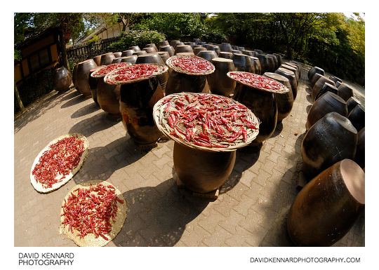 Drying peppers on earthenware jars