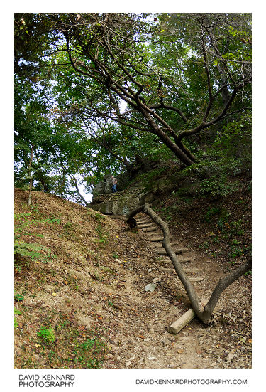 Path through woods at the Korean Folk Village