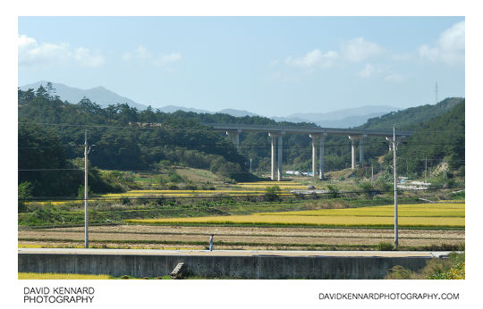 Rice fields of Sangyanghyeol-ri