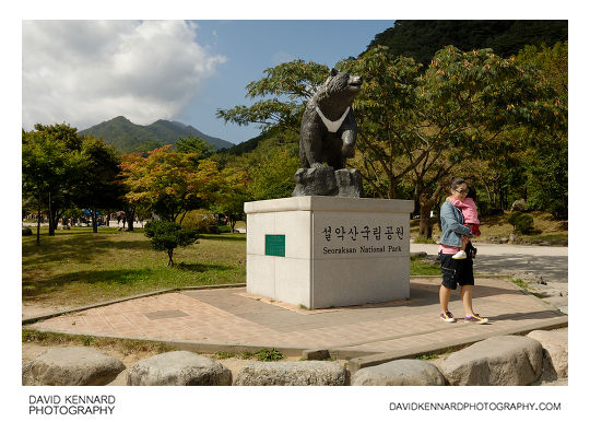 Seoraksan National Park Korean Moon Bear Statue