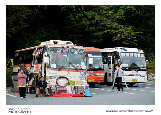 Sorak tour buses