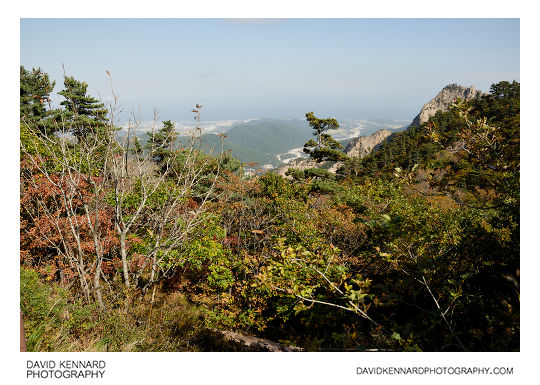 View east from Mount Sorak