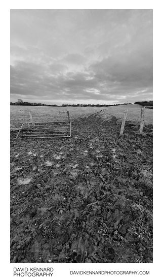 Muddy fields at twilight, East Farndon