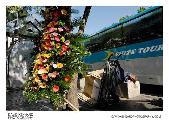 Flowers and sleeping man, Insadong