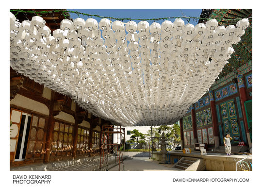 White paper lanterns, Jogyesa Temple