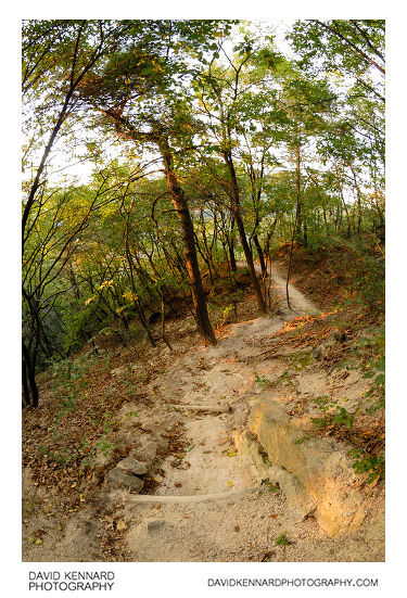 Path down Buramsan