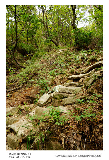 View from the path up Buramsan