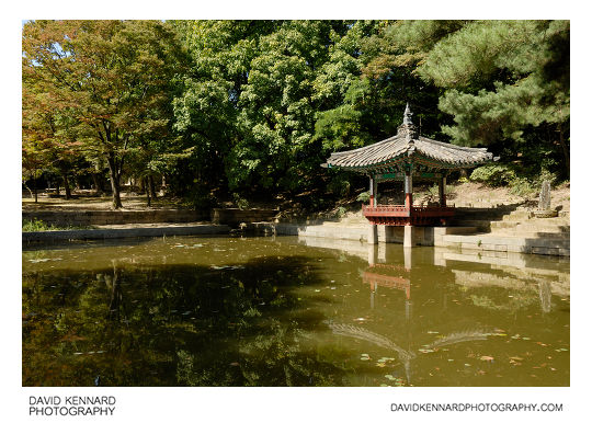 Aeryeon lake and pavilion, Changdeokgung