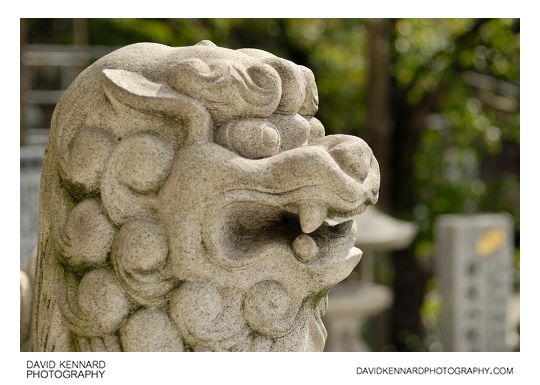 Komainu statue at Namba Yasaka Jinja