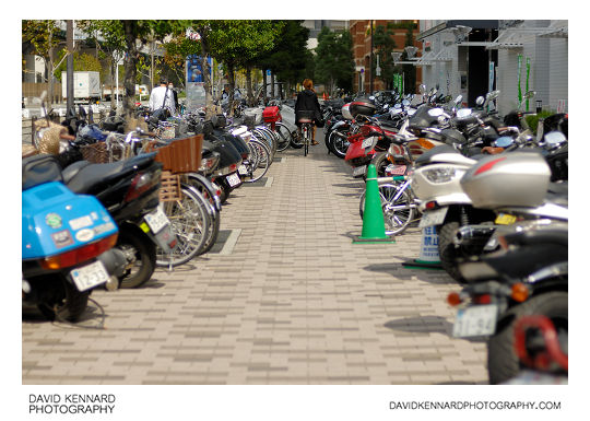 Lines of bikes in Naniwa-ku