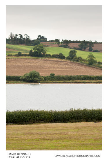 Fields and Eyebrook Reservoir