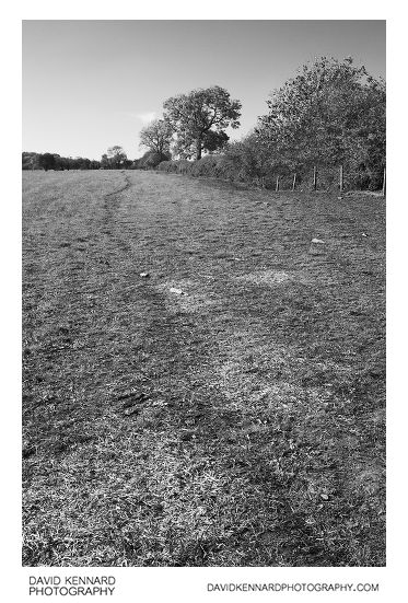 Path through field