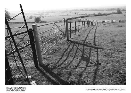 Fence and fields, Great Doddington