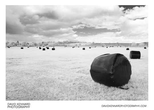 Black plastic wrapped haybales in infrared